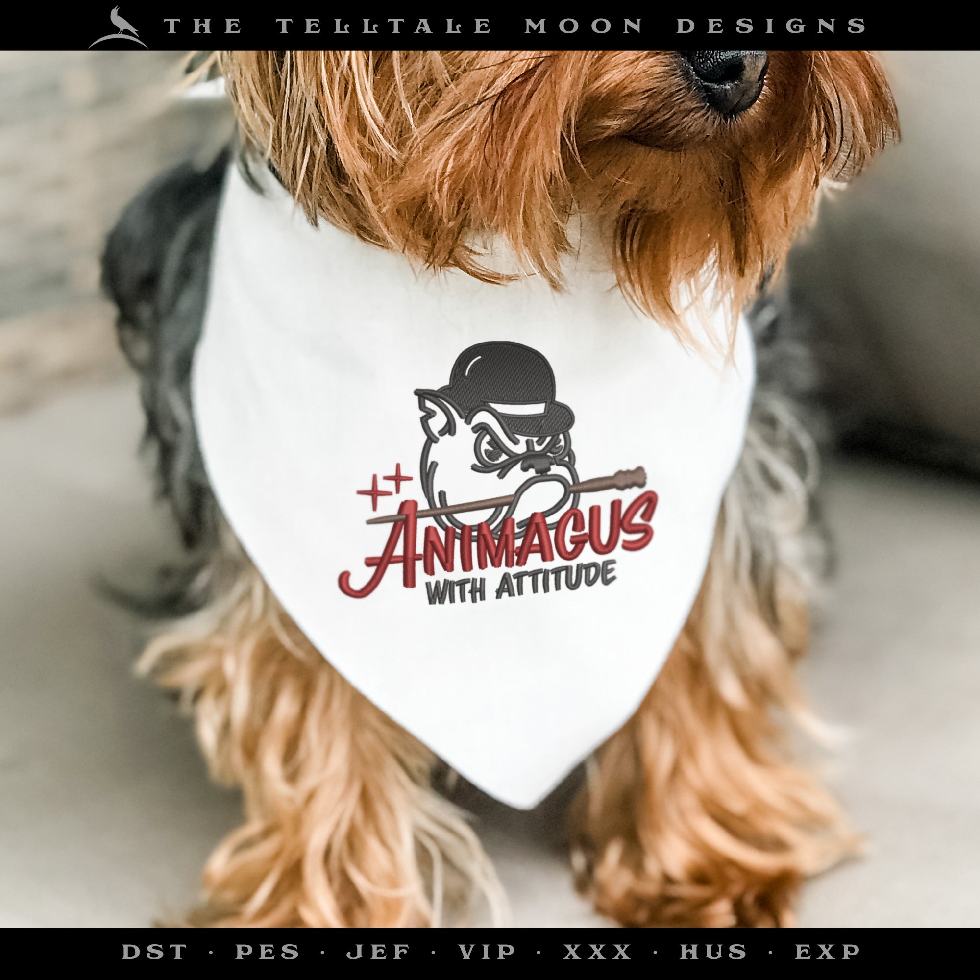 Embroidery Files: Wizard Dog Theme - Two Sizes About 4 and 5 Inches