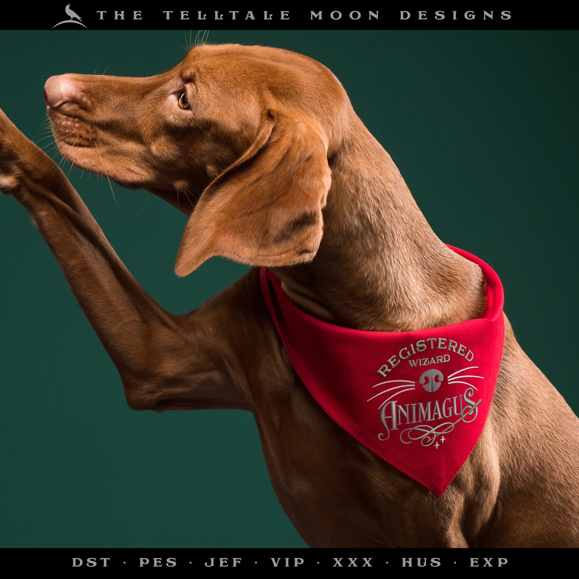 Embroidery Files: Magical "Animagus" Design i0 Four Sizes between 5 and 9 Inches