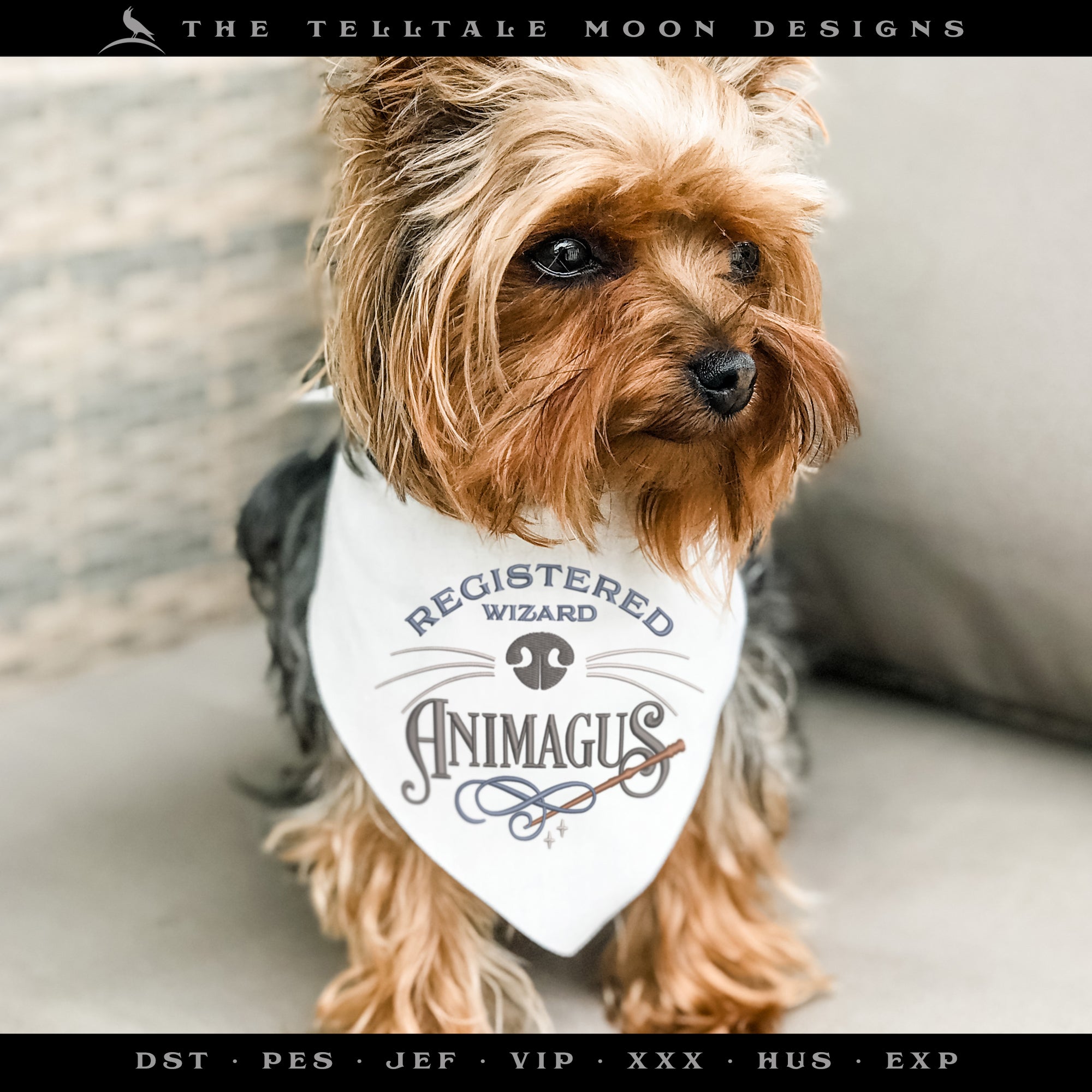 Embroidery Files: Magical "Animagus" Design i0 Four Sizes between 5 and 9 Inches