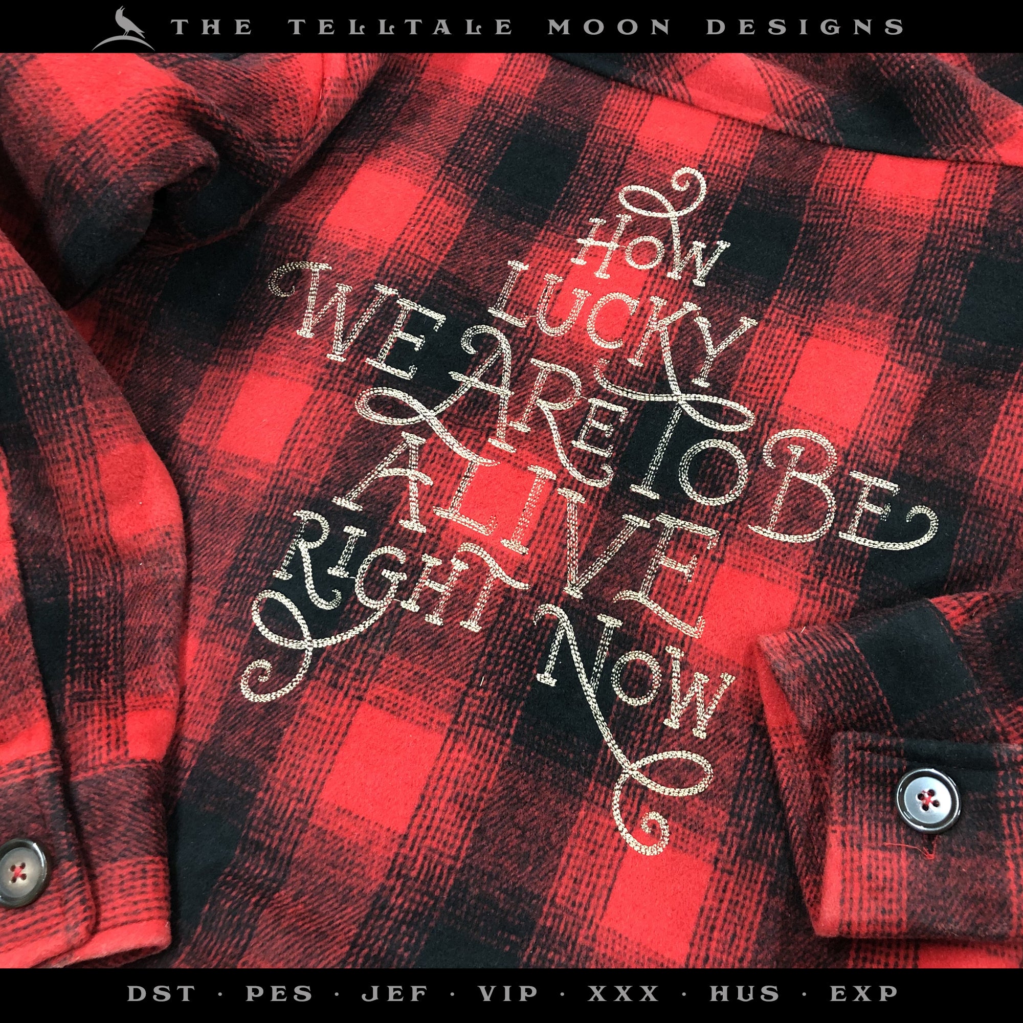 Embroidery: Hamilton-inspired Quote, in Hand-lettered Sketch Stitch (5, 6, 7, 8, 9, 10, 11, and 12 Inches Tall, One Thread Color